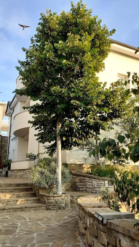 Turisalba Hotel Ishem Ngoại thất bức ảnh
